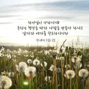 [하나님의 교회 / 패스티브] 선장과 아들 이미지