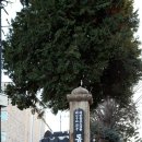 시민여인숙 이미지