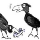 반포지효 (反哺之孝) 이미지