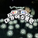 흥기1리 무지개숲 앞 | [고령] 대가야수목원 _ 눈내리는 빛의 숲 , 입장료 눈내리는 시간 날 , 토요일 저녁 방문 후기