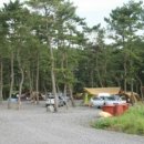 춘장대오토캠핑장 이미지