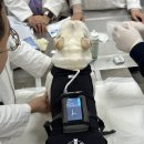 덕계 원 동물병원 이미지