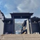 엘사 안나도 깜짝 놀란 마술콘서트 | 동쪽에 사는 두루미 천 마리