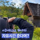 자유시간 | 일본 알펜루트 3일차 코스｜시라카와고 합장촌 후기, 패키지 자유시간 현실 (下)