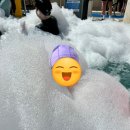 김기중내과의원 네이버블로그