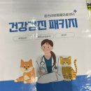 브이아이피 동물의료센터 네이버블로그