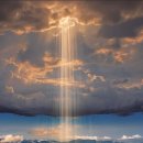 【감사할 것 뿐】 이미지