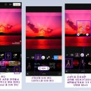 비바비디오 이미지