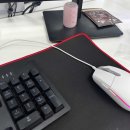 프론트엔드 부트캠프 취업 개발자 학원!