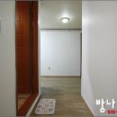천안성정중학교 Daum카페