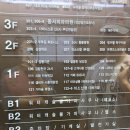 워터캐슬 | 시흥 정왕 찜질방 시설 좋은 &#39;워터캐슬&#39; 방문 후기 ✨