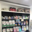 비비도리스 애견샵 이미지