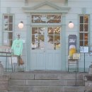 젤리피쉬소프트 이미지