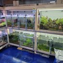 아쿠아 커피연구소 이미지