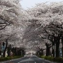 종합휴양지로 티스토리