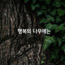 행복나무 이미지