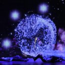 미스테리우스 이미지