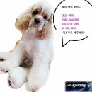 안젤라미용실 이미지