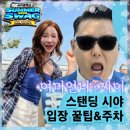 시야 | 2026 싸이 흠뻑쇼 의정부 스탠딩 가구역 시야 후기｜입장·교통·체력 꿀팁 총정리