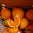 달콤하우스 이미지