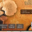 플렉스호남총판
