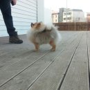 아란스테이 이미지