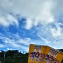 하일할머니 이미지