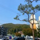 창박골원조보리밥 이미지
