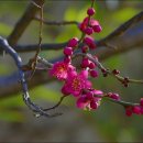 벧엘요양병원 이미지