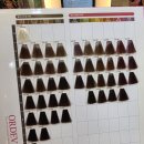 길음역 5번출구 | 길음뉴타운 미용실 살롱에이 밀본 올디브 보떼 새치커버 염색 솔직 후기