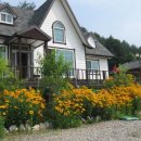 흥정계곡 솔내음펜션 이미지