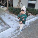 맥시칸치킨학동점 | [광주 학동 맛집]치맥하기 좋은 날/누구나 홀딱 반한닭 광주학동점