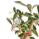 영전농장 이미지