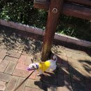 가좌2동경로당 이미지