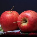 24시안마원 이미지