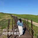 (주)웰빙찬간마을 | 서산 가볼만한곳 서산9경 제8경 서산한우목장길 힐링 여행