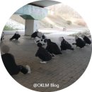 롯데하이마트(주)금천지점 | 청주 헬스장 브로피트니스 금천점ㅣ매달 첫째주 토요일 러닝클래스 첫 참석 후기