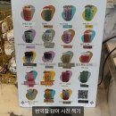털보민박 | 어느새 흘러간 시간들의 바다