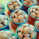 BIFF 게스트하우스 | 부산 자갈치 2026년 숙소 비교 (가성비, 위치, 후기)