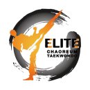 엘리트 차오름태권도장 이미지