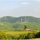 하늘아래목장 이미지