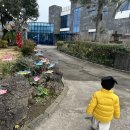 제주해양동물박물관 | 제주 아이랑 동쪽 실내 여행 제주 해양동물 박물관