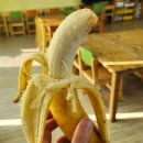 팜힐링고