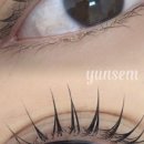 윤브로우