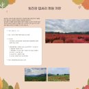 파주착한펜션 | 연천 댑싸리 공원 축제 기간 날짜 장소 가볼만한곳 여행