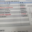 시티산부인과의원 네이버블로그