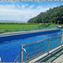 펜션플로망스 | 강화도풀빌라 강화도의 진정한 힐링, 플로망스풀빌라 방문 후기