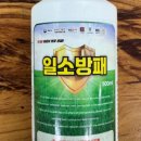 진농바이오 네이버블로그
