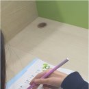 이앤수영어학원 네이버블로그