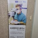 자하연치과 네이버블로그